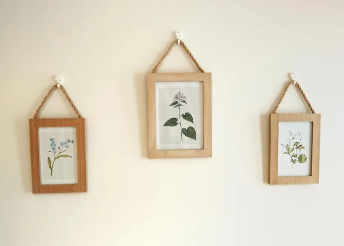 Apartment Encanto Natural En El Centro De