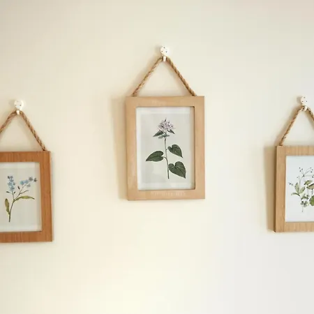 Apartamento Encanto Natural En El Centro De